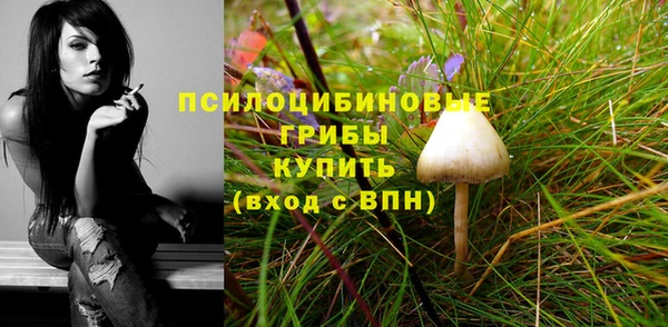 винт Козловка