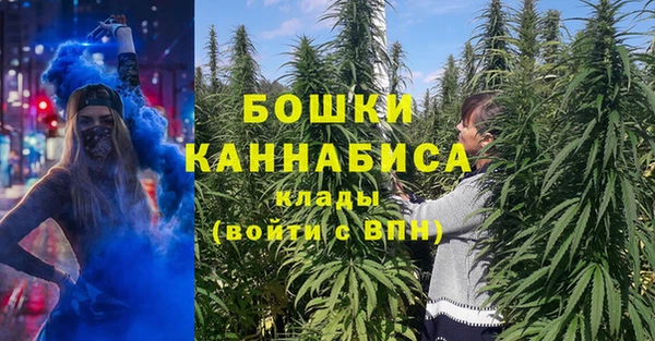 тгк Козельск